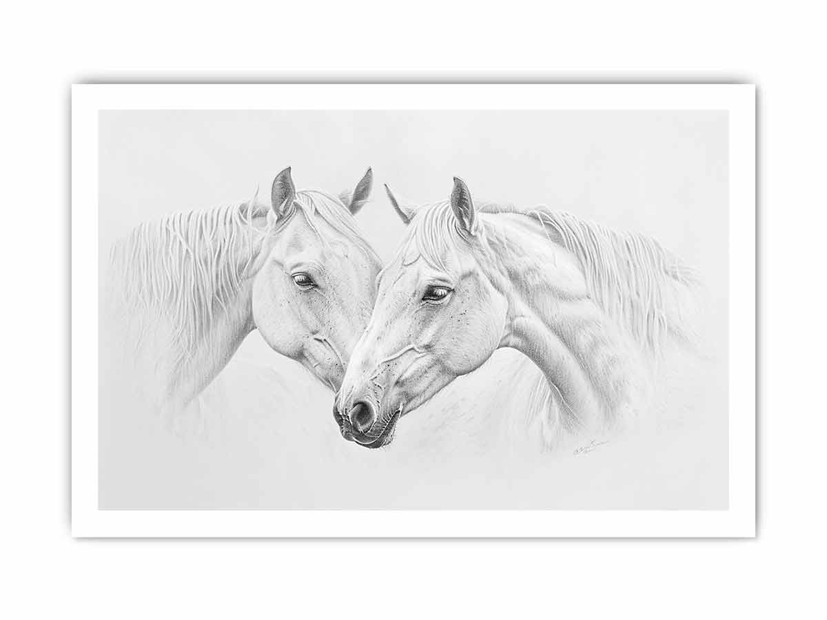Two white  Horses  Canvas Art Print-8