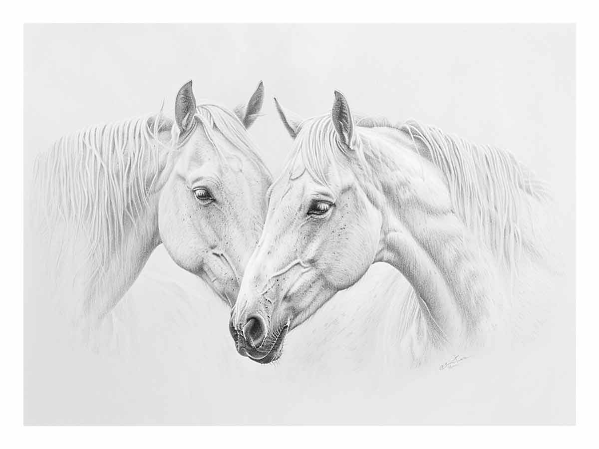 Two white  Horses  Canvas Art Print-0