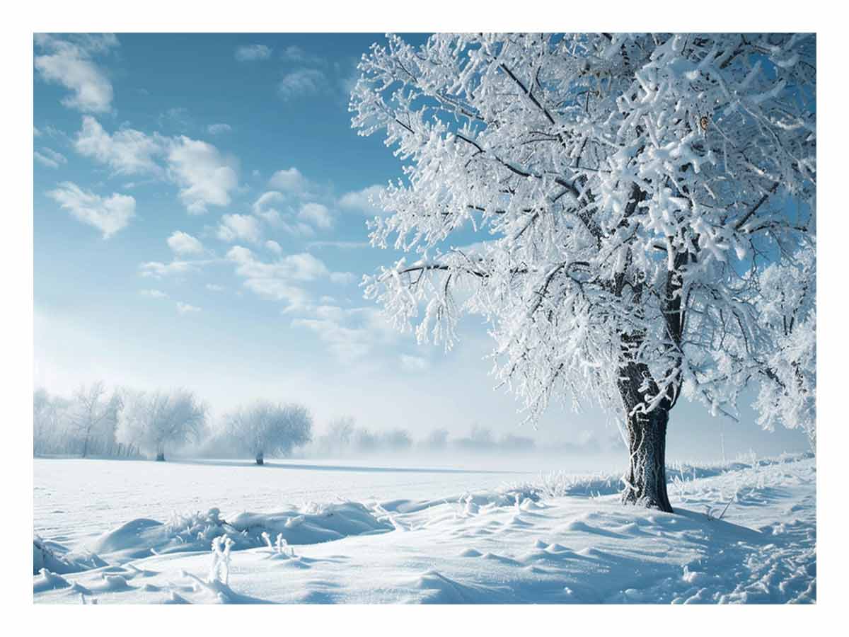 Winter Snow Tree  Canvas Art Print-0