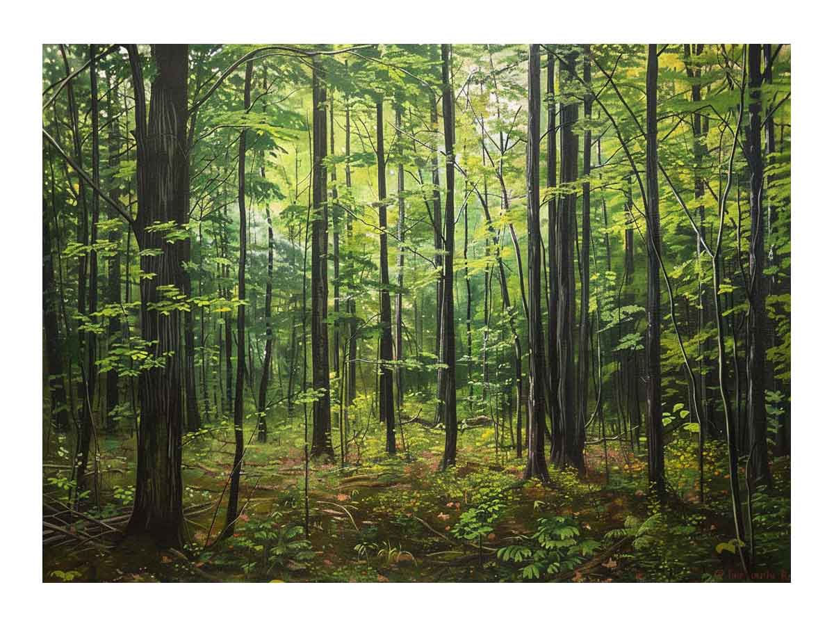 Hardwood Forest Canvas Painting-0
