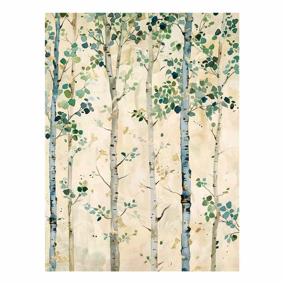 White Birchtrees Canvas Art Print-0